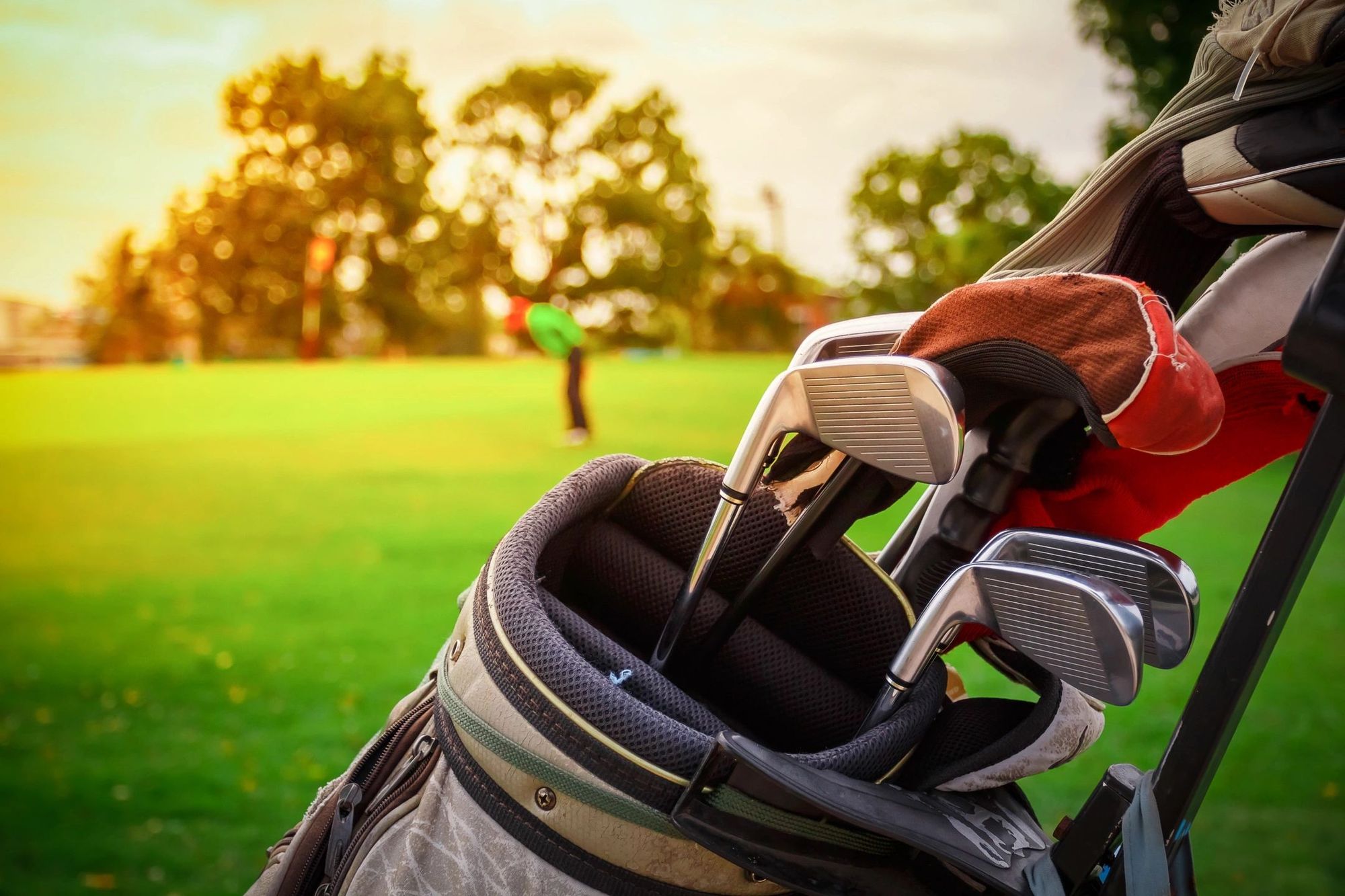 Winter Golf Tournaments: Top Locations, Tournament Types, and Services